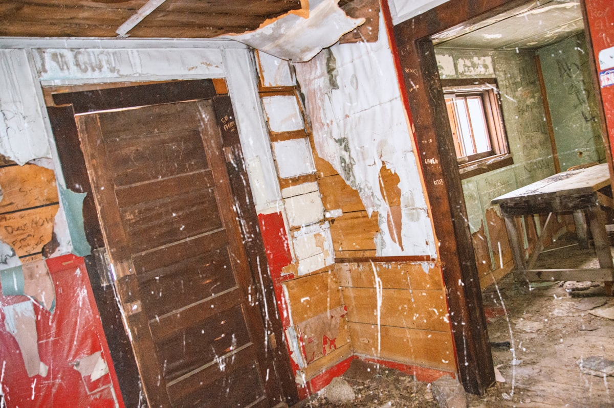 Mold Remediation service in Temple, TX