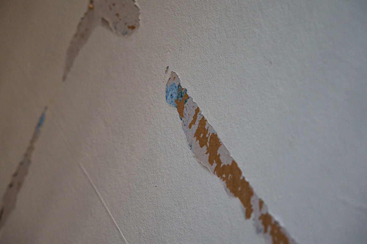 Basement Water Removal service in Temple, TX